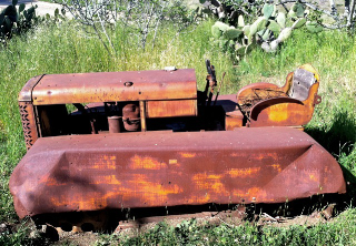 Dad's 1947 AG-6 Orchard